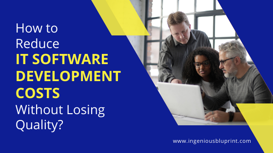 How to Reduce IT Software Development Costs Without Losing Quality?